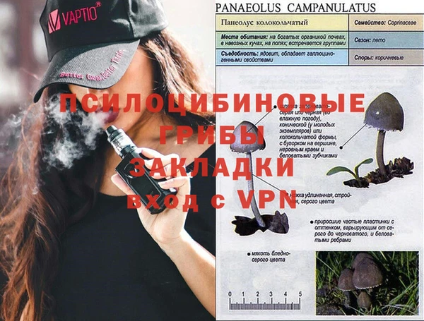 молекула духа Алзамай