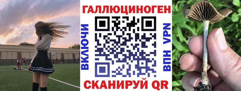 Галлюциногенные грибы MAGIC MUSHROOMS  Бодайбо 